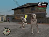 New Dog Mod